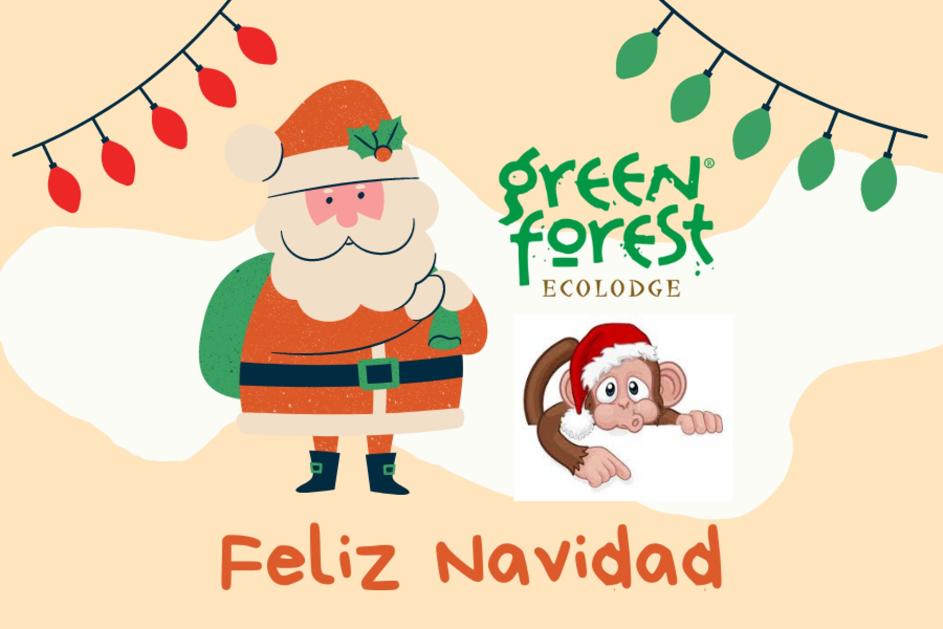 Christmas in Cuyabeno with Green Forest