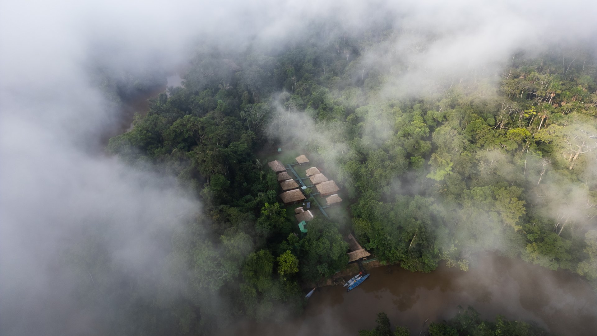 Ecuador Seguro y Megadiverso: Tu Próxima Aventura en Green Forest Ecolodge