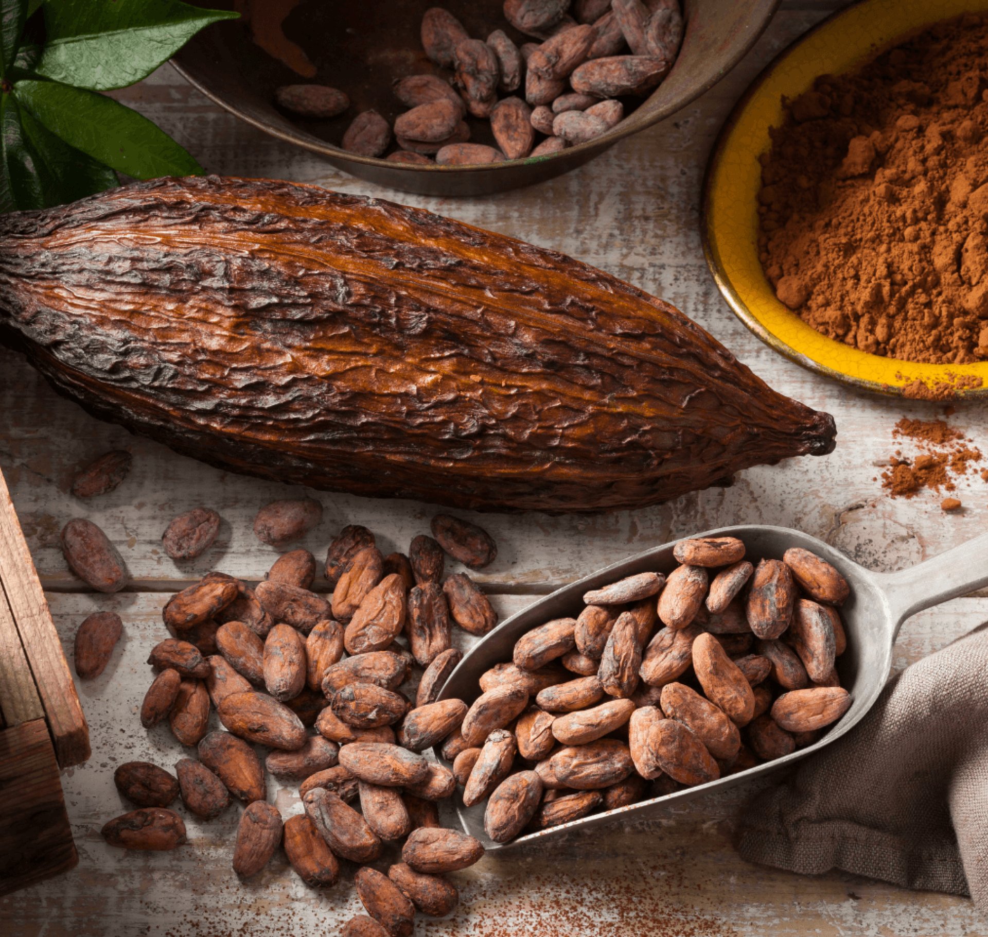 Chocolate Artesanal