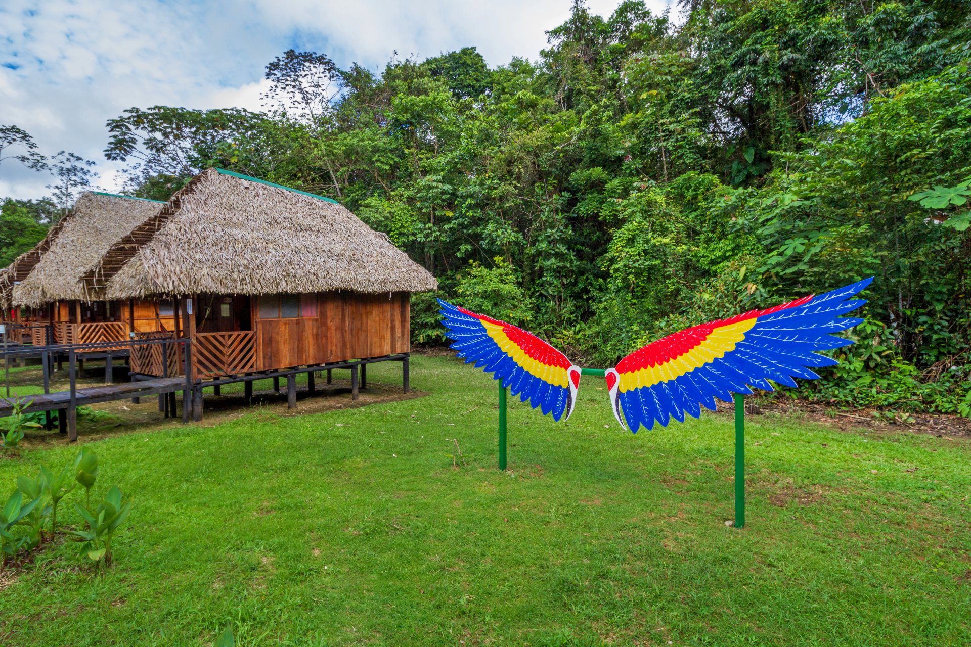 Descubre la Amazonía en Cuyabeno 3 días 2 noches