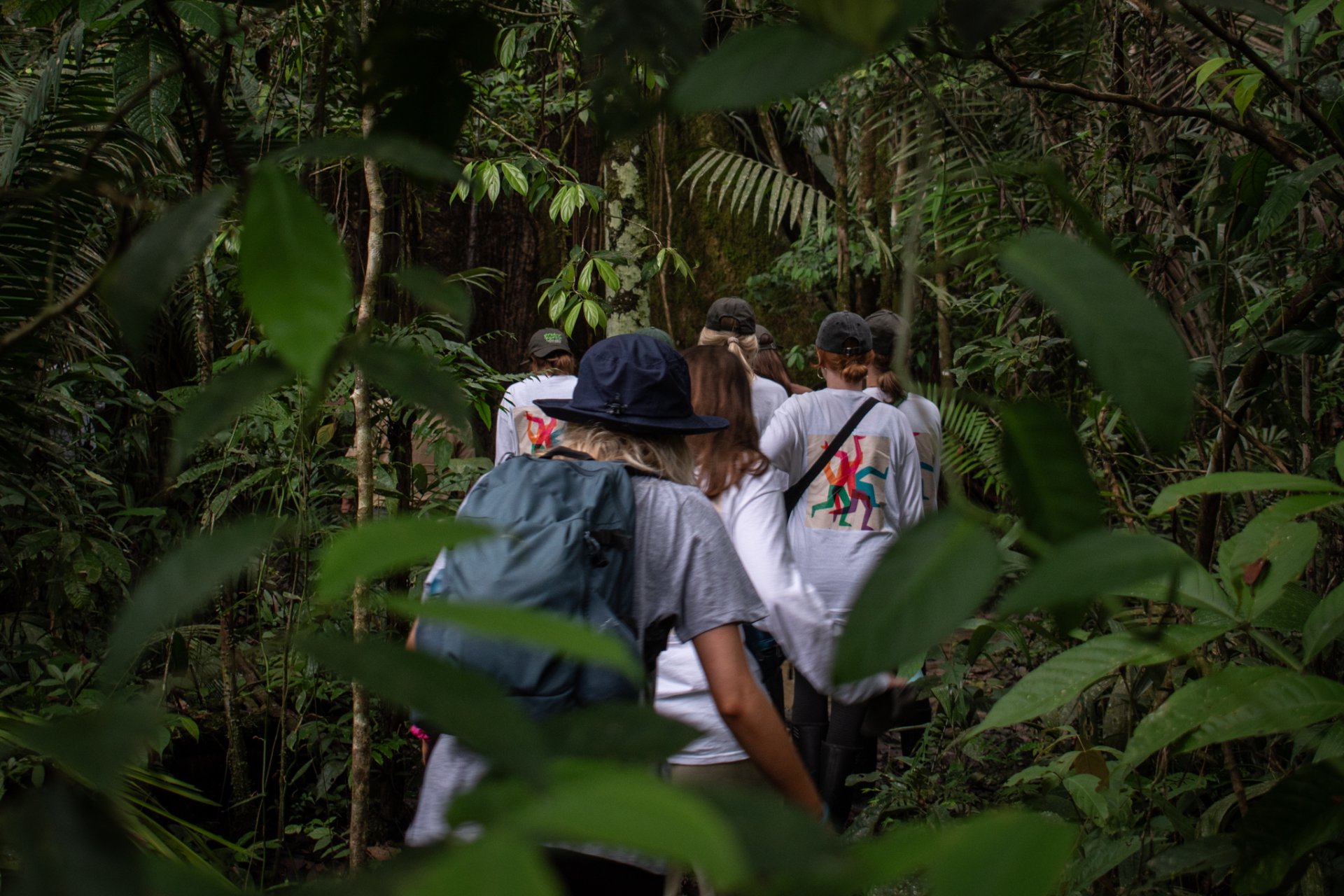 Explora la Amazonía en Cuyabeno 4 Días  & 3 Noches
